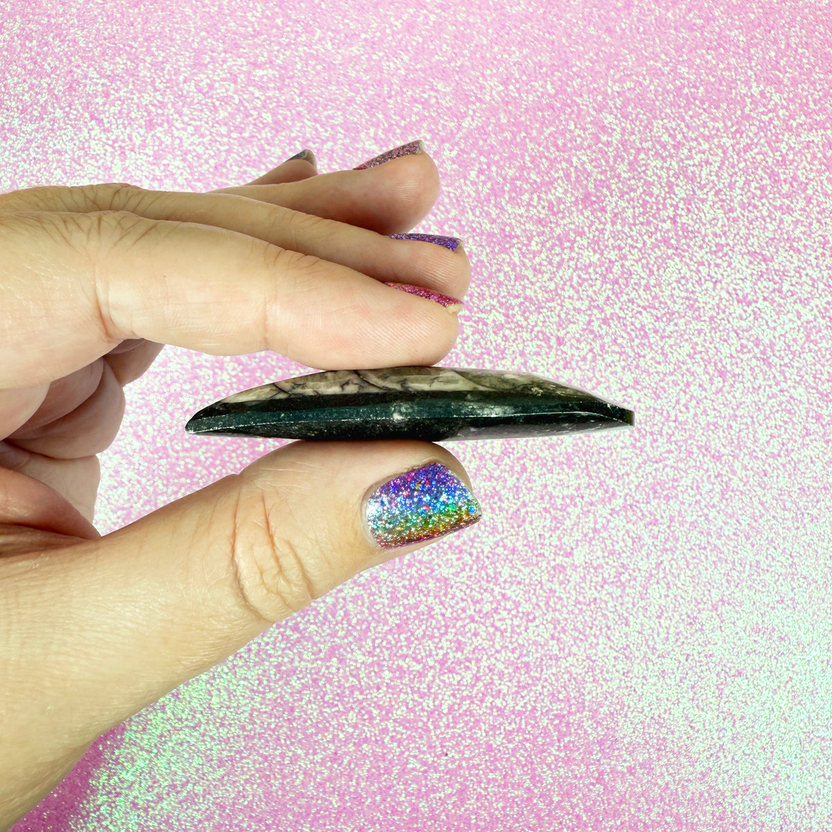 Orthoceras Fossil
