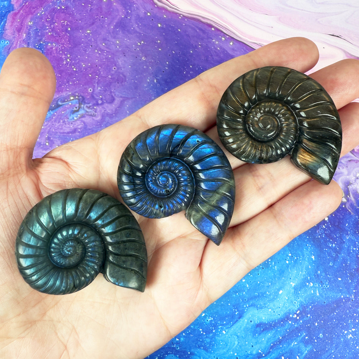 Labradorite Shell