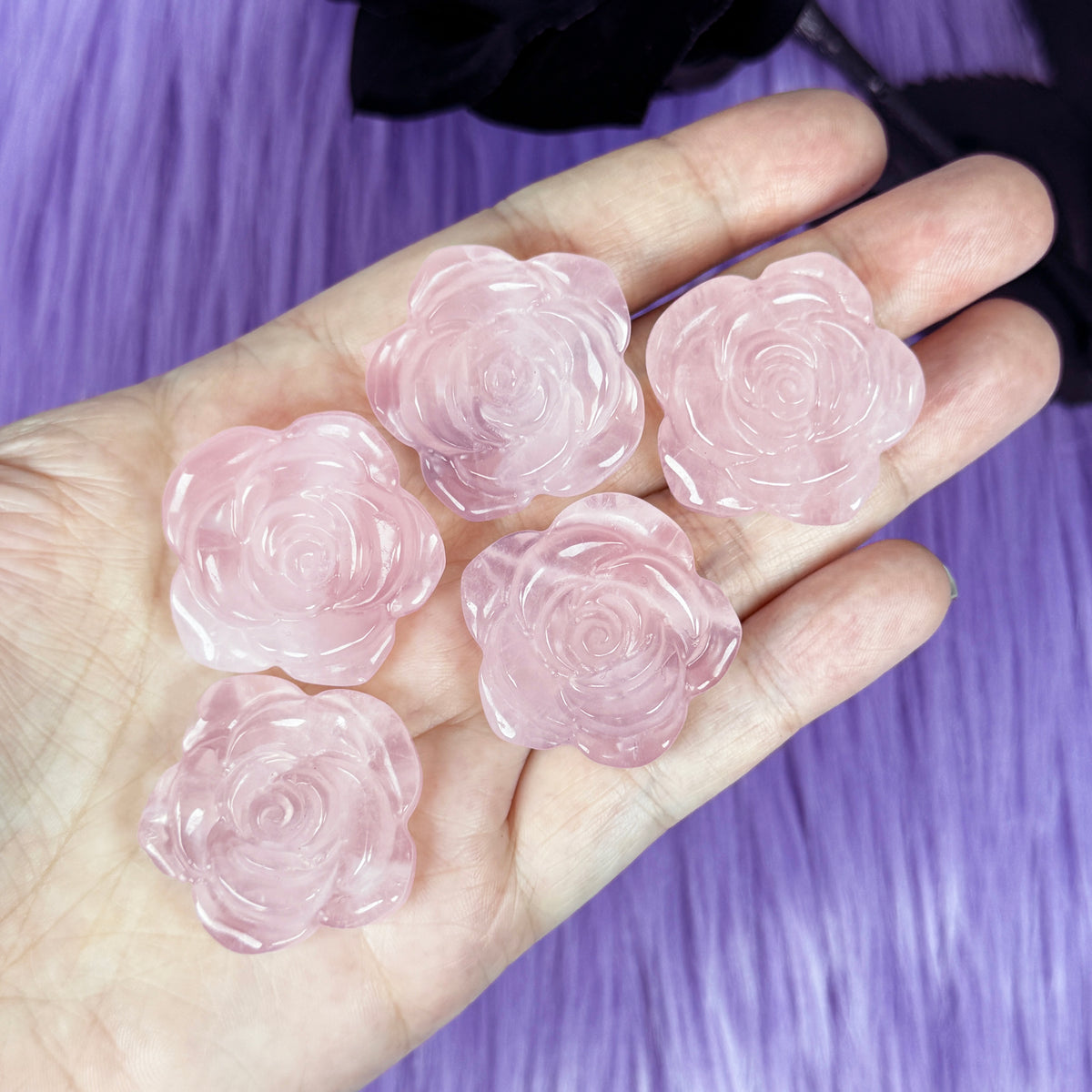 Rose Quartz Rose