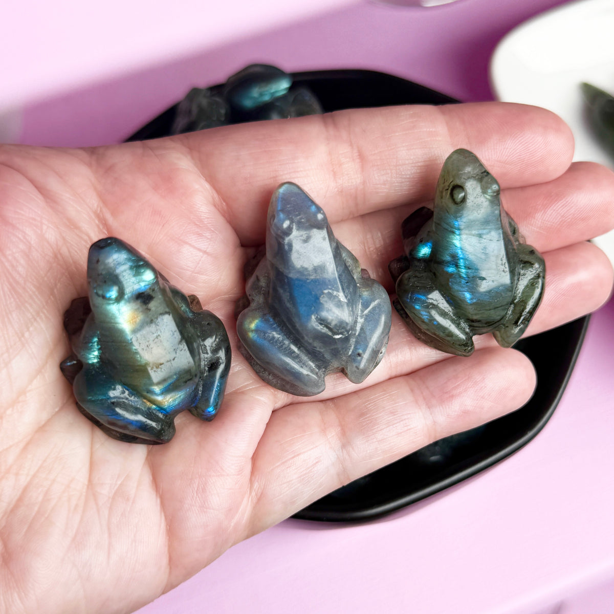 Labradorite Frog