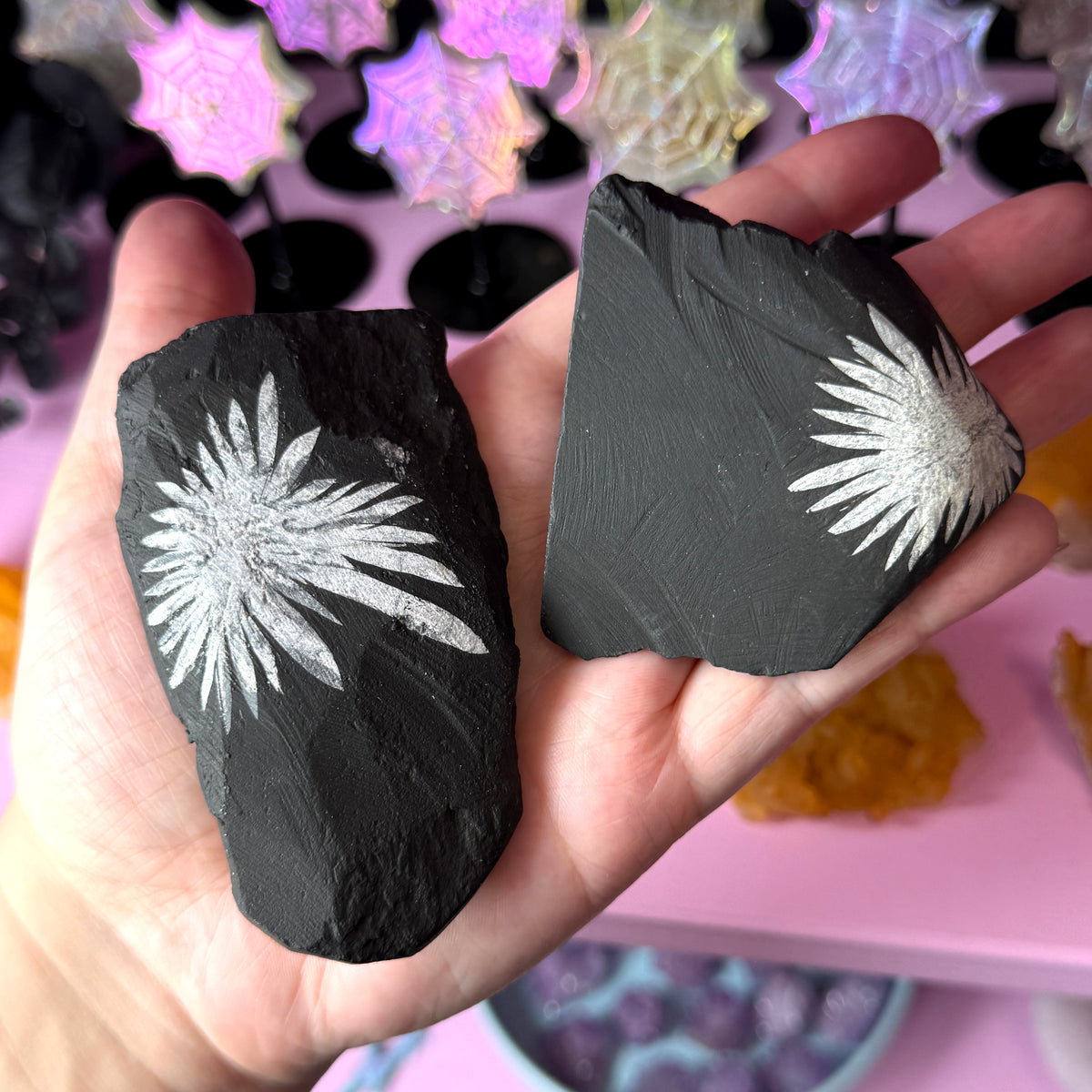 Chrysanthemum Stone