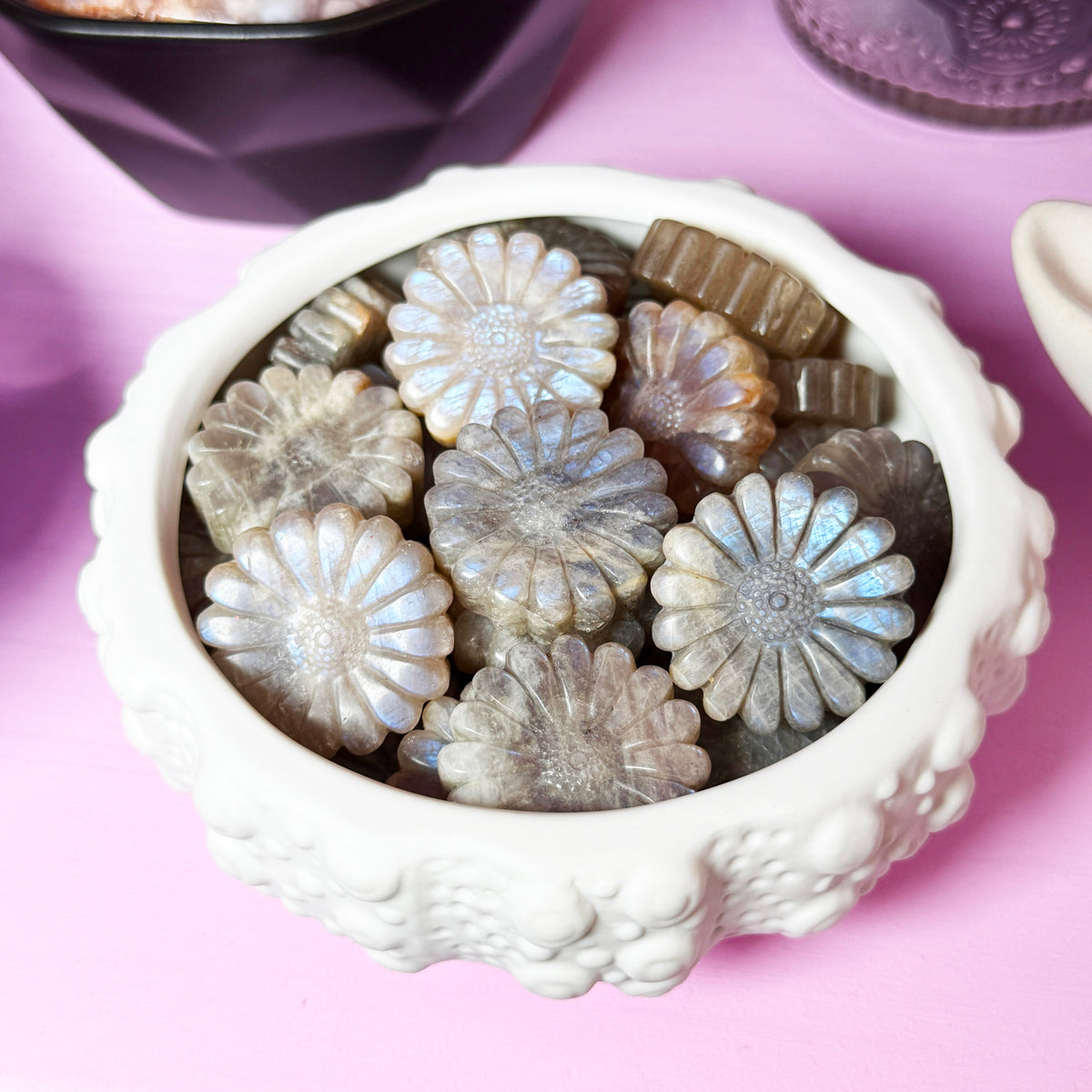 Blue Moonstone Flower