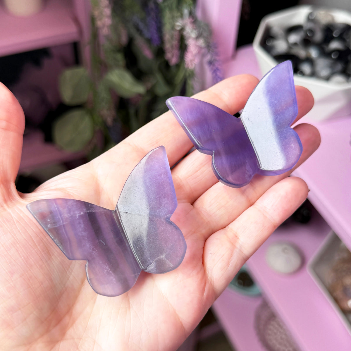 Fluorite Butterfly
