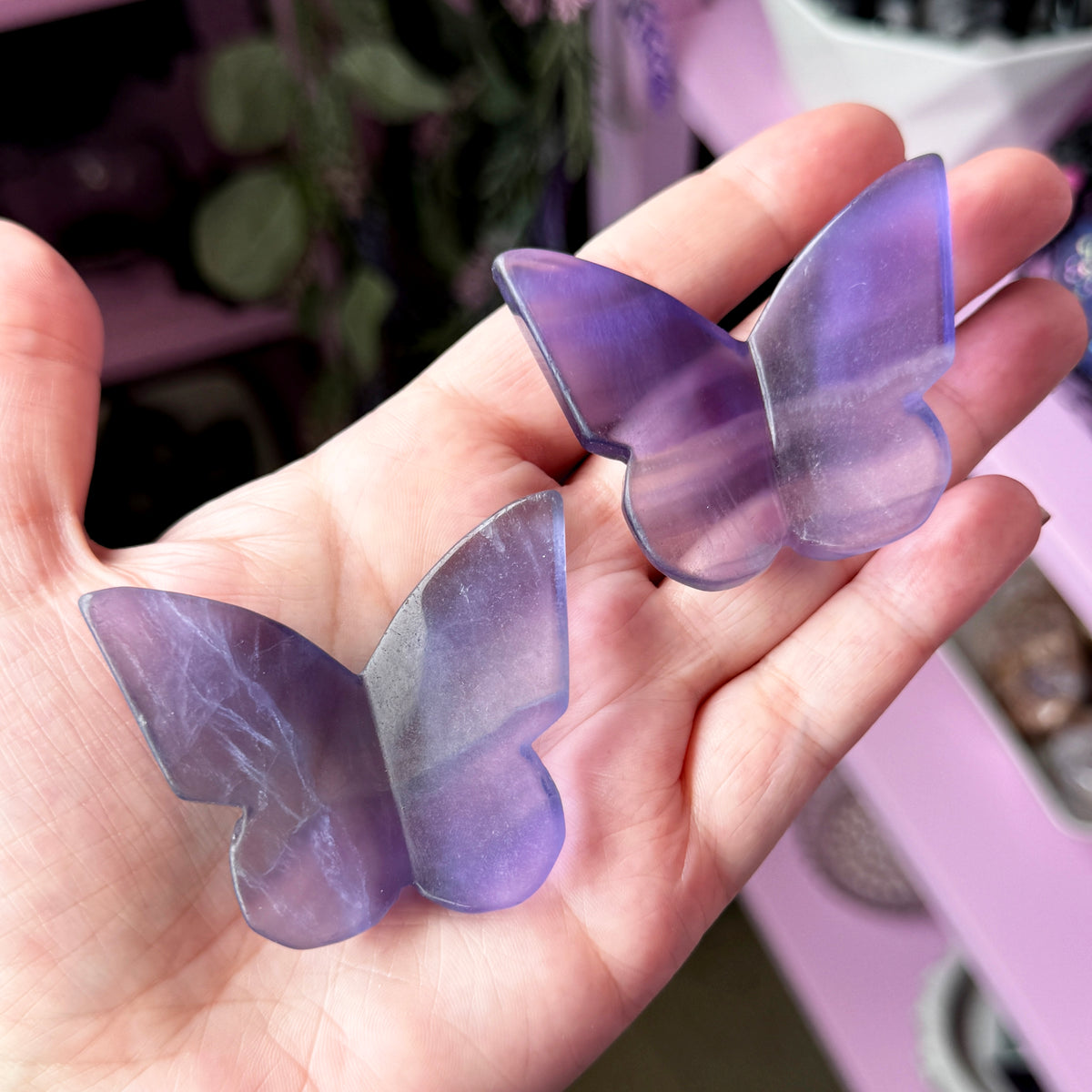 Fluorite Butterfly