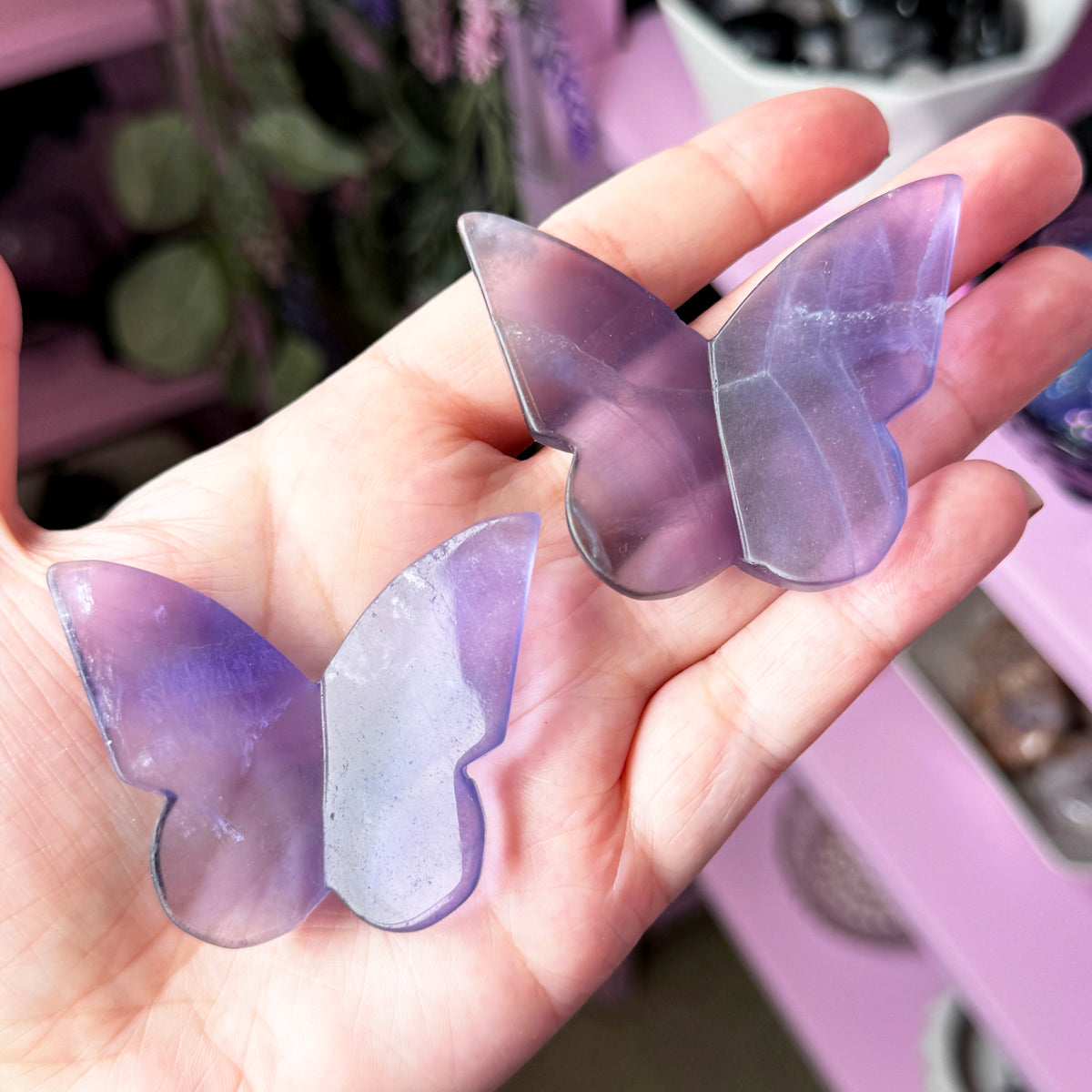 Fluorite Butterfly