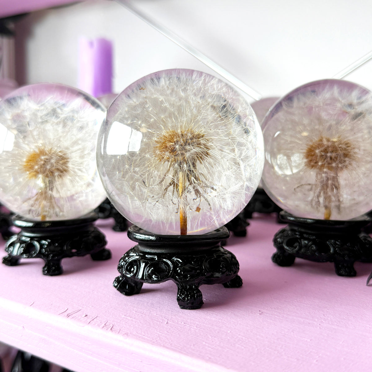 Dandelion in Resin + Metal Stand