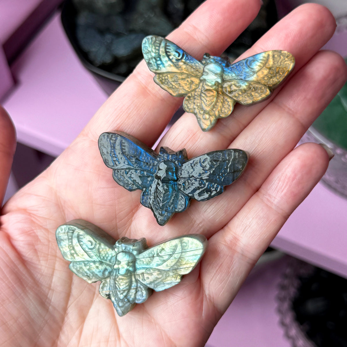 Labradorite Skull Moth