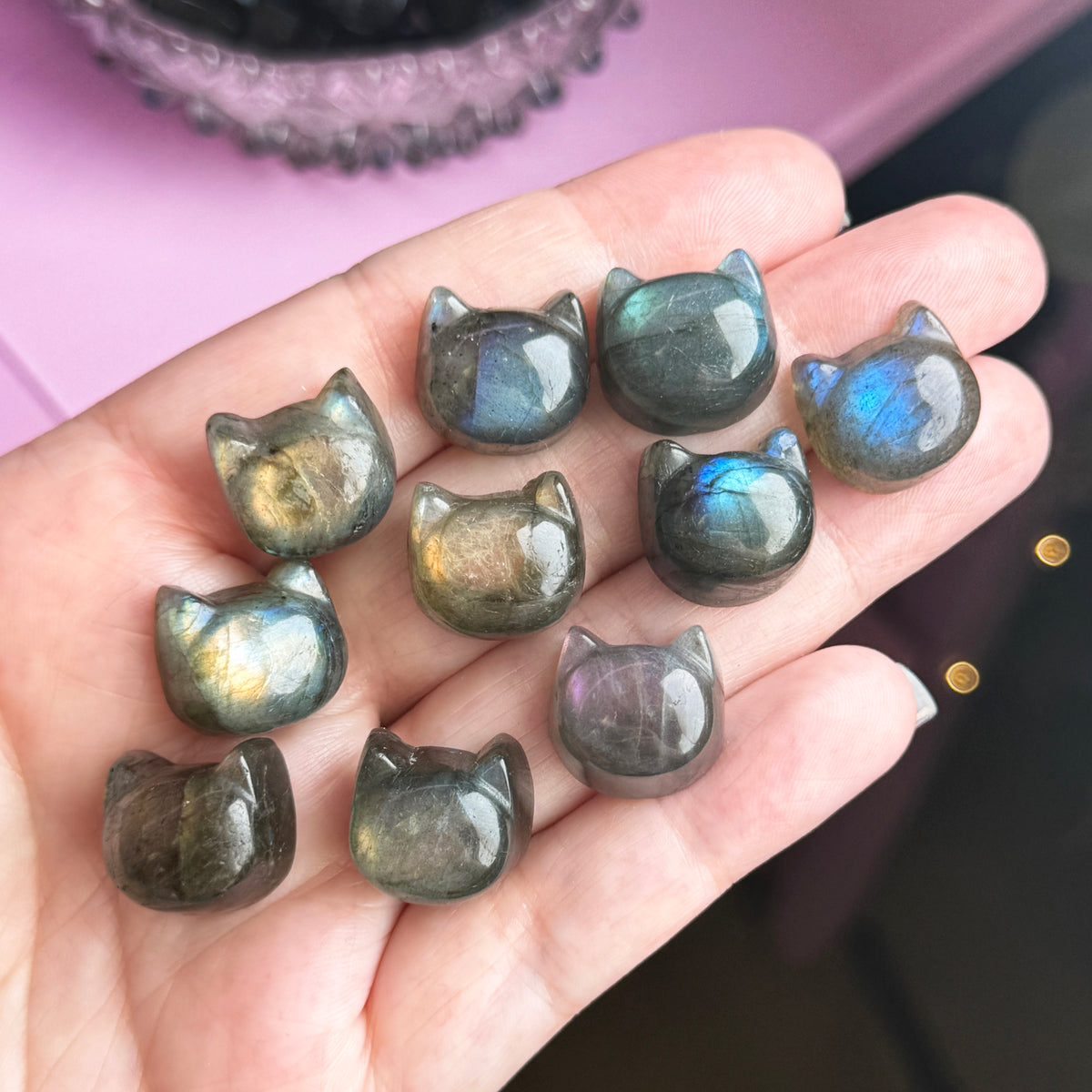 Labradorite Cat