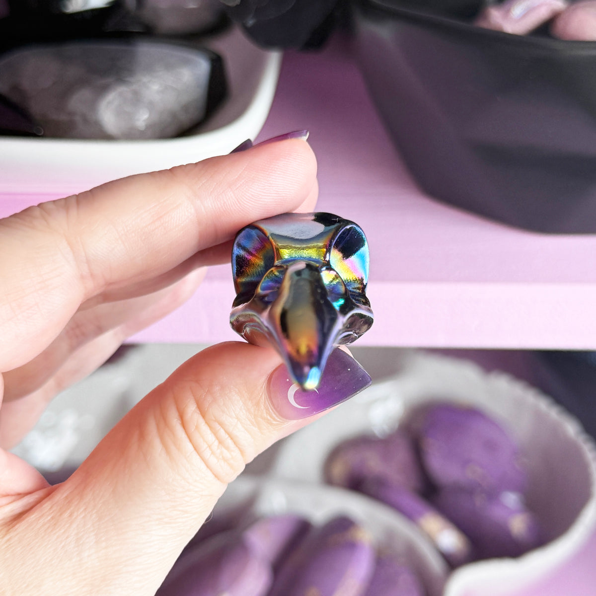 Titanium Aura Black Obsidian Bird Skulls