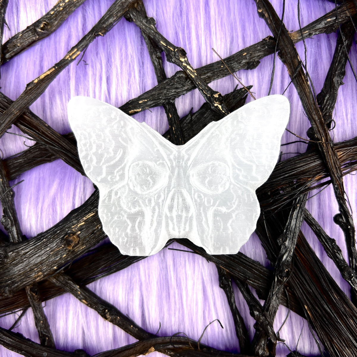 Satin Spar Skull Moth